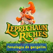 fenologia do gergelim